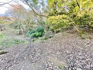 Photo 51- click for photo gallery